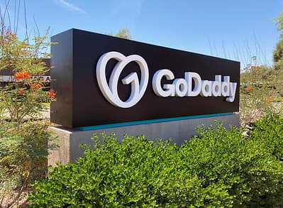 GoDaddy Survey Insights