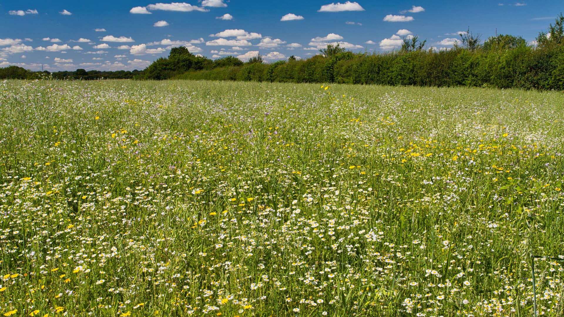 Revolutionizing Farm Support: How NRCS is Leveraging Mobile Tech for Better Customer Service