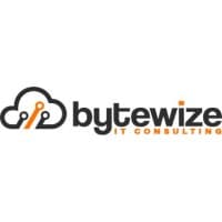 Bytewize IT Consulting logo