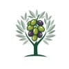Olive Tree Consulting Group logo